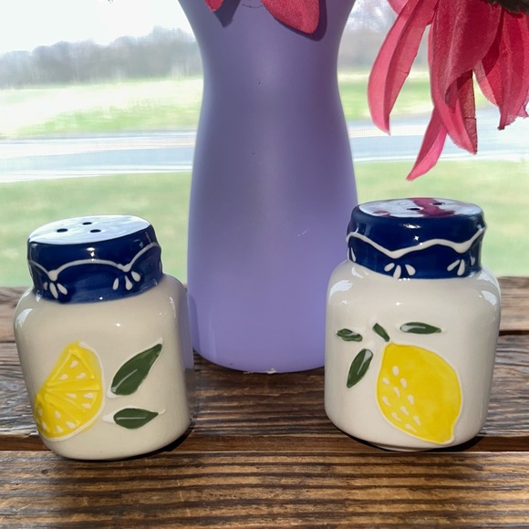 Source Unknown Other - Lemon Design Salt and Pepper Shakers ~ New